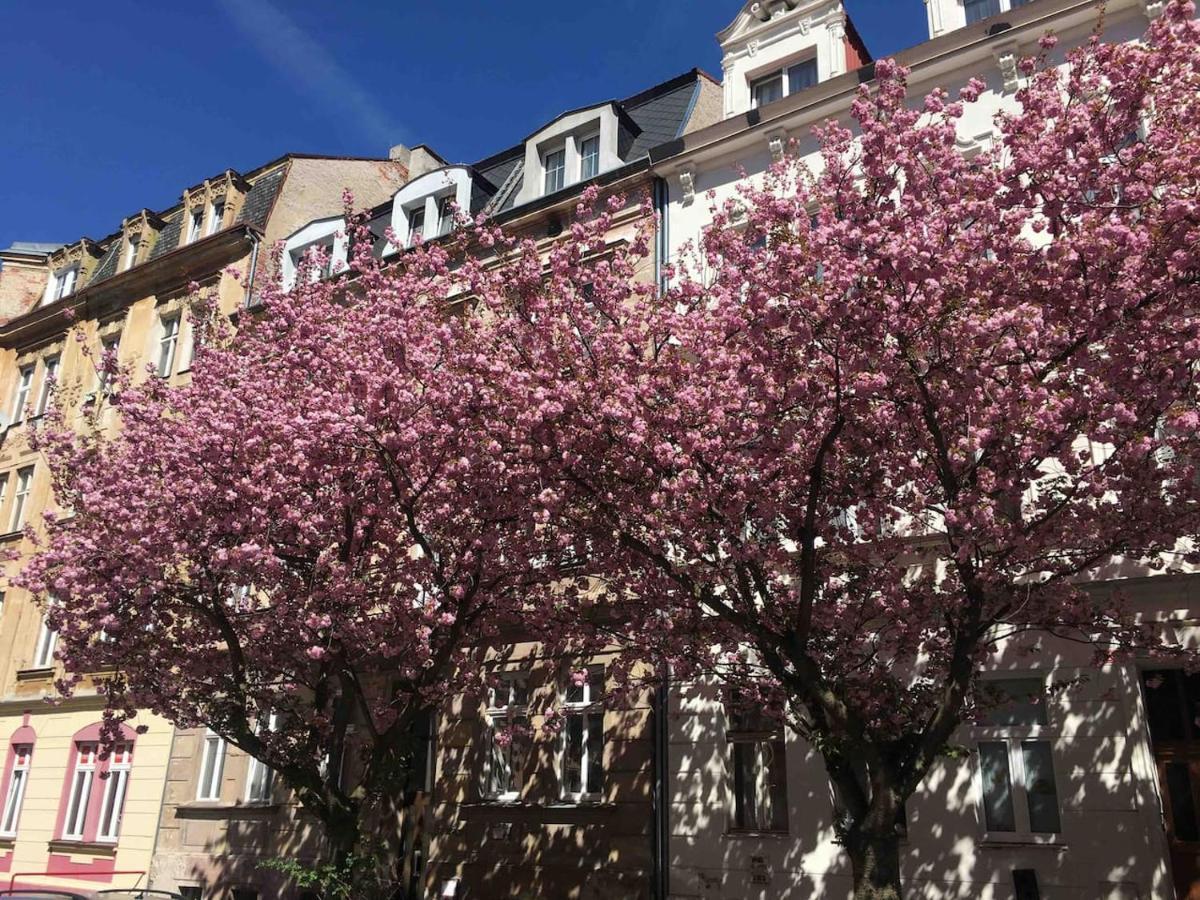 Apartmany Jizdarenska Karlovy Vary Exterior photo